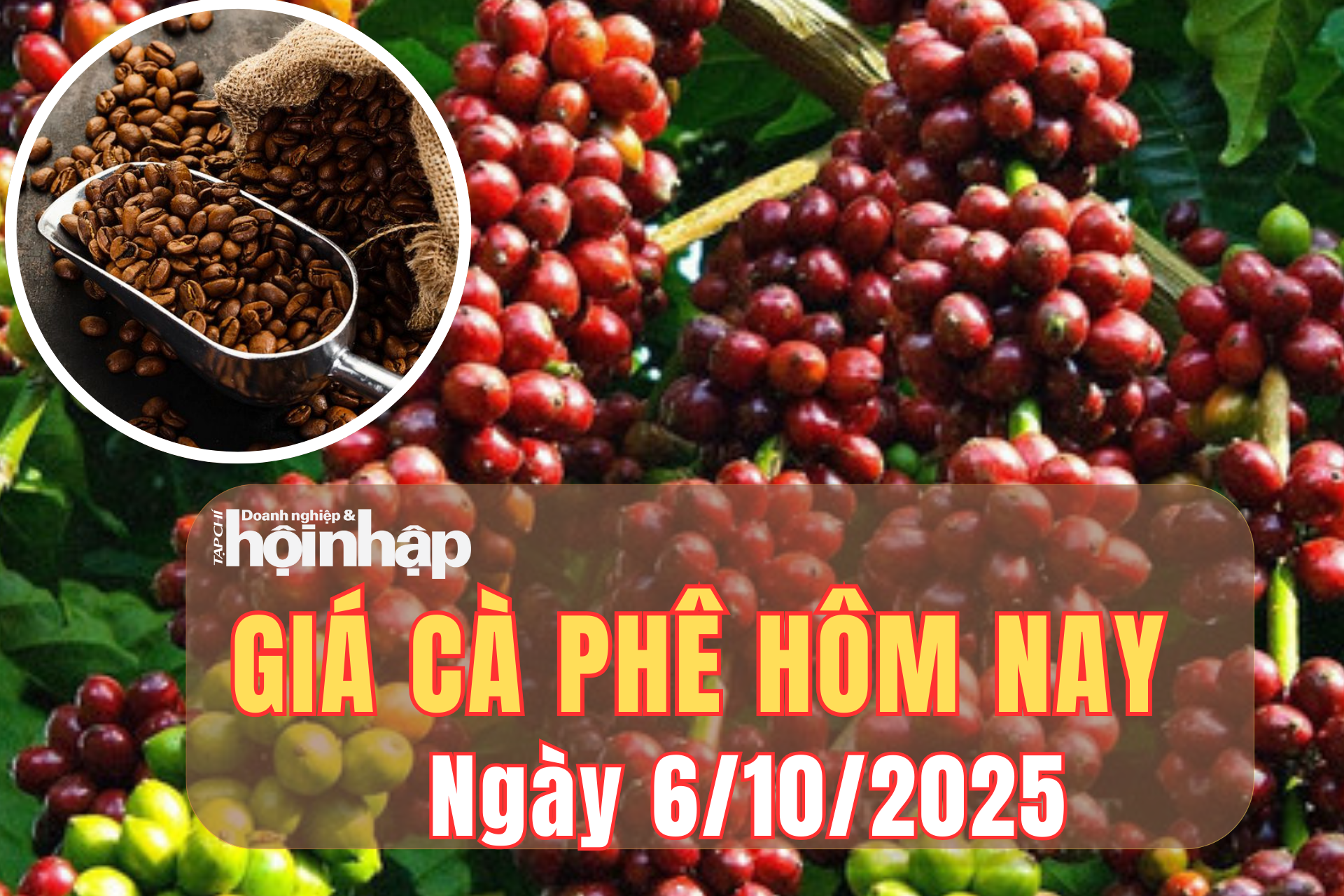 Giá cà phê hôm nay 6/10/2025: Giá cà phê trong nước tăng tuần thứ hai liên tiếp, thế giới khởi sắc mạnh