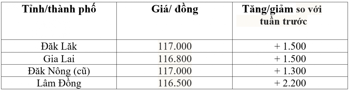 Bảng giá cà phê trong nước hôm nay 6/10/2025