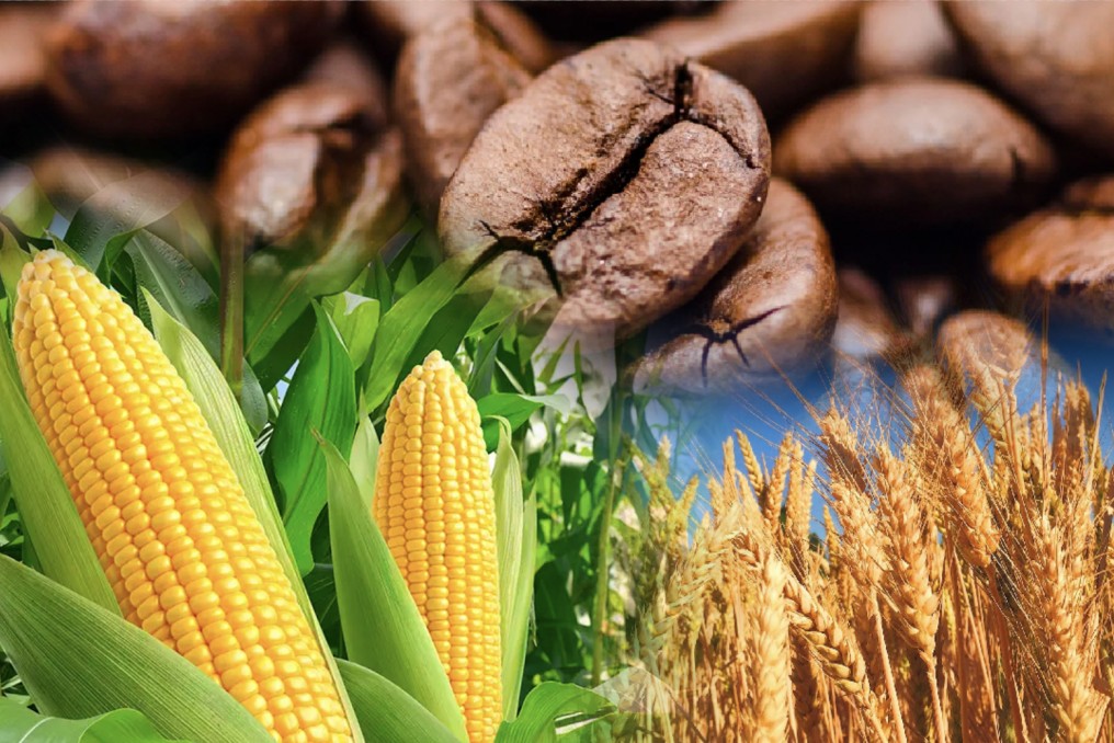 Đề xuất đưa nông, lâm, thủy sản lên sàn giao dịch tại Trung tâm Tài chính quốc tế TP. Hồ Chí Minh