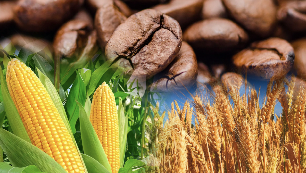 Đề xuất đưa nông, lâm, thủy sản lên sàn giao dịch tại Trung tâm Tài chính quốc tế TP. Hồ Chí Minh