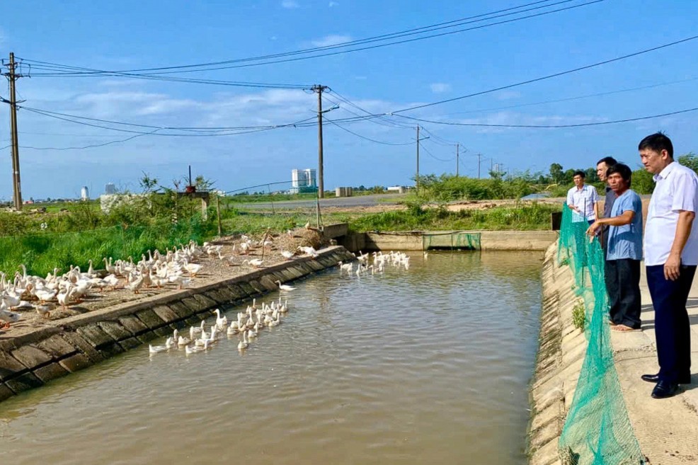 Quảng Trị: Khi người nông dân Đồng Hới “đổi vai” làm chủ kinh tế đô thị
