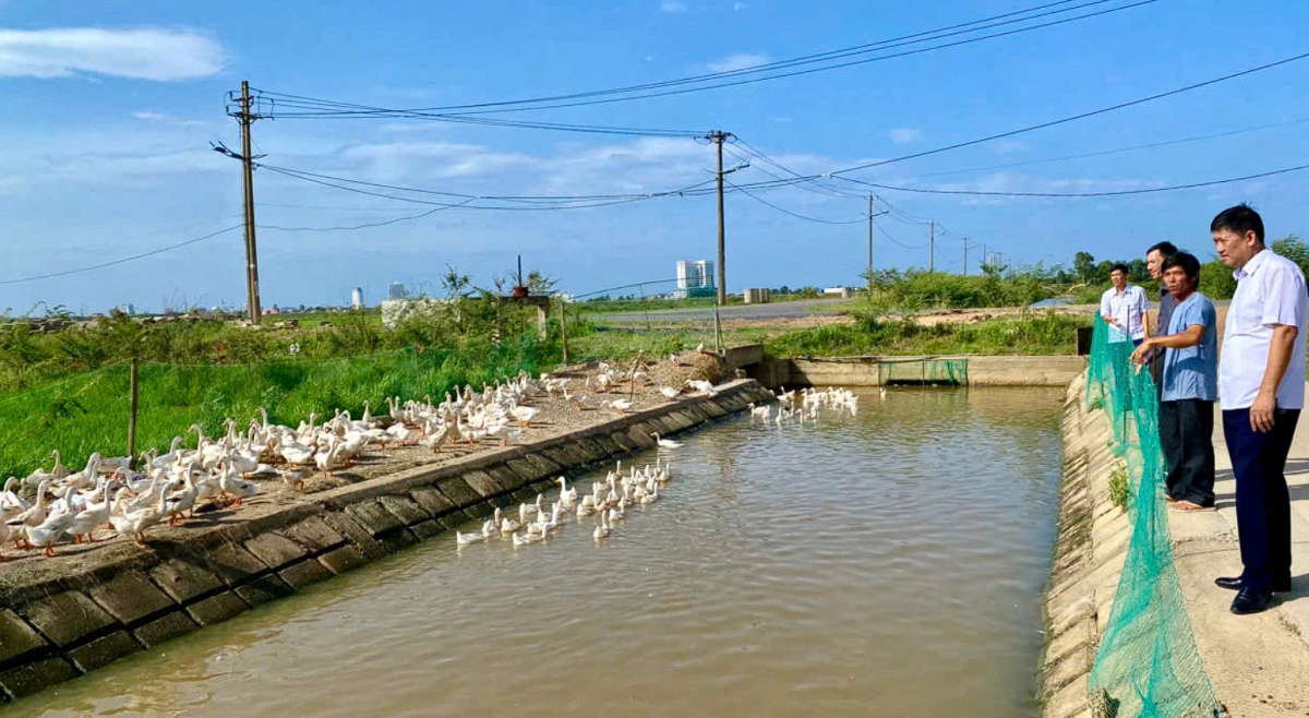 Quảng Trị: Khi người nông dân Đồng Hới “đổi vai” làm chủ kinh tế đô thị