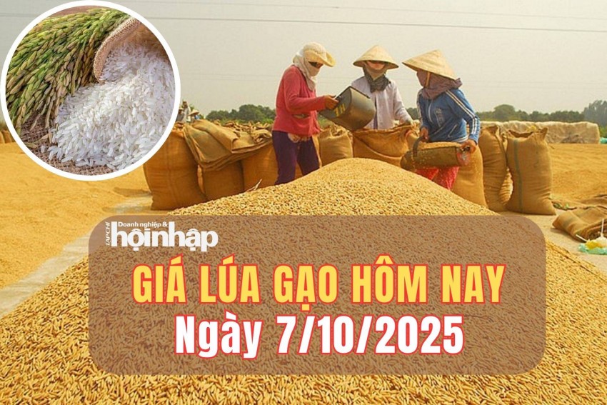 giá lúa gạo