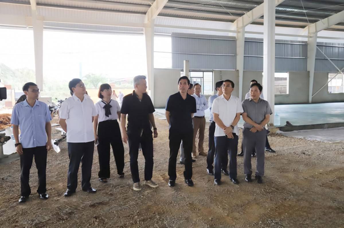 Sơn La nỗ lực phục hồi sản xuất công nghiệp, thúc đẩy tăng trưởng cuối năm