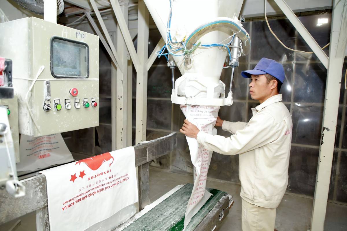 Sơn La nỗ lực phục hồi sản xuất công nghiệp, thúc đẩy tăng trưởng cuối năm