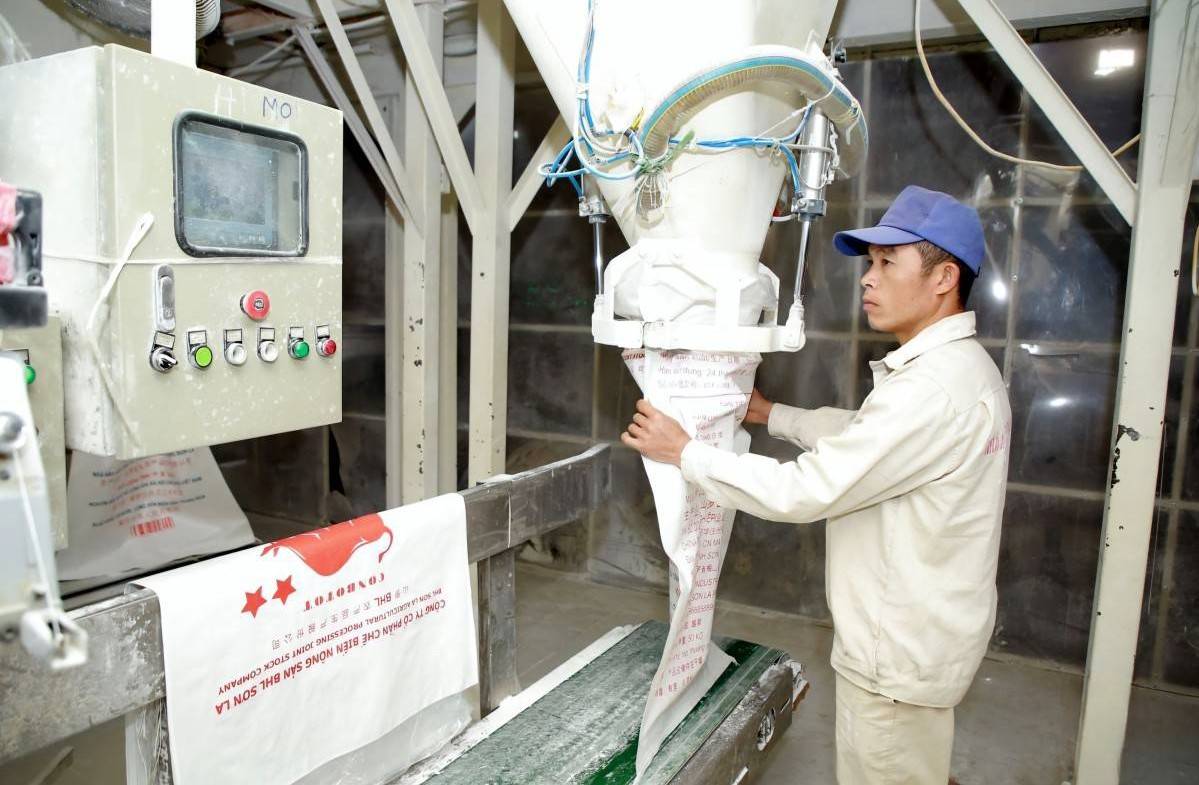 Sơn La nỗ lực phục hồi sản xuất công nghiệp, thúc đẩy tăng trưởng cuối năm