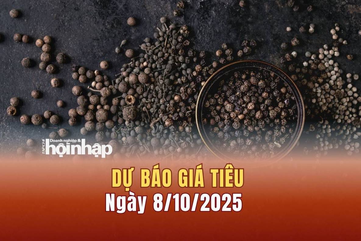 Dự báo giá tiêu 8/10: Tiêu trong nước giữ giá ở mức cao