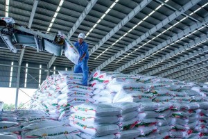 Hà Nội: Doanh nghiệp thành lập mới tháng 9 tăng mạnh