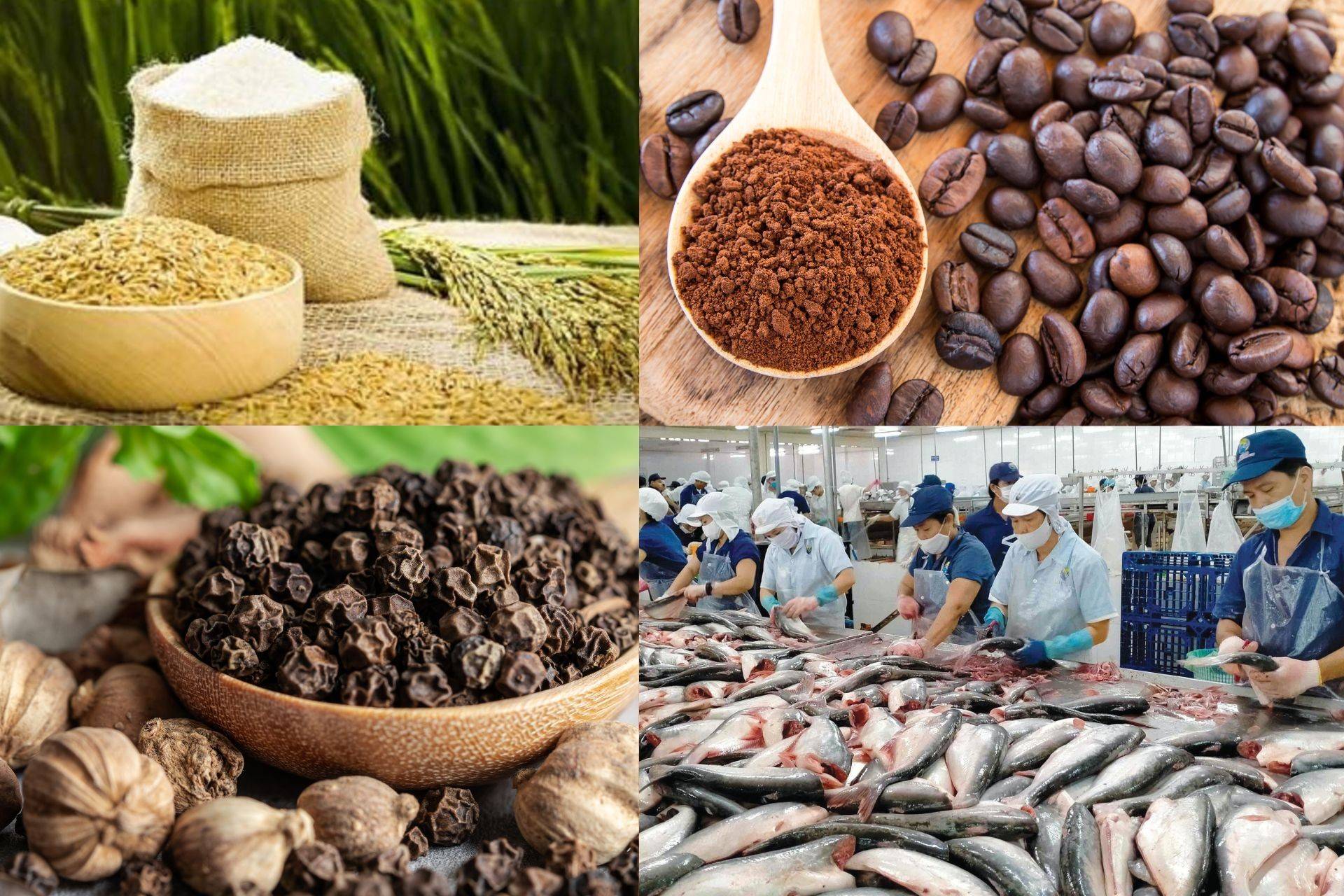 Nông sản Việt trước 