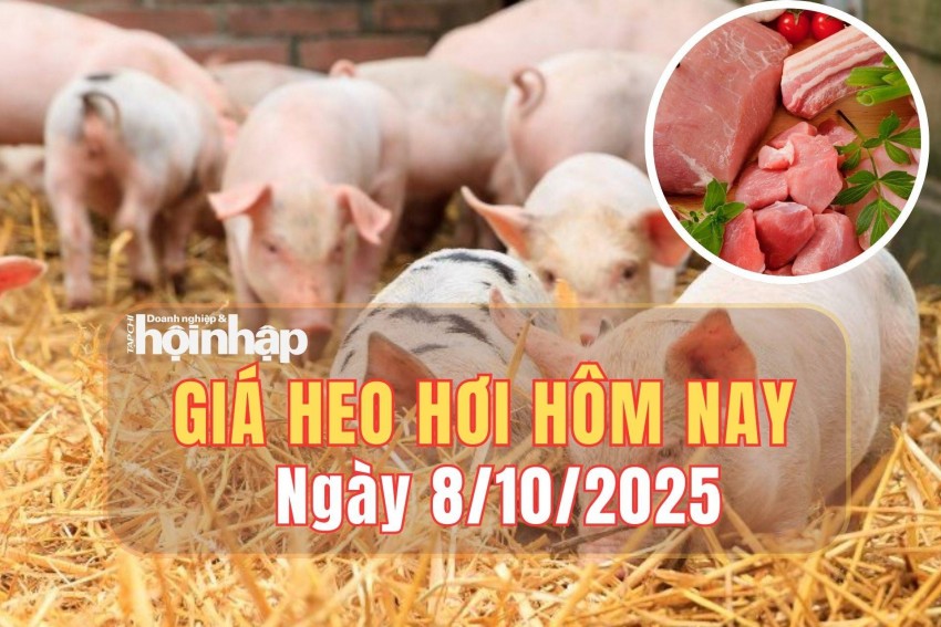 giá heo hơi