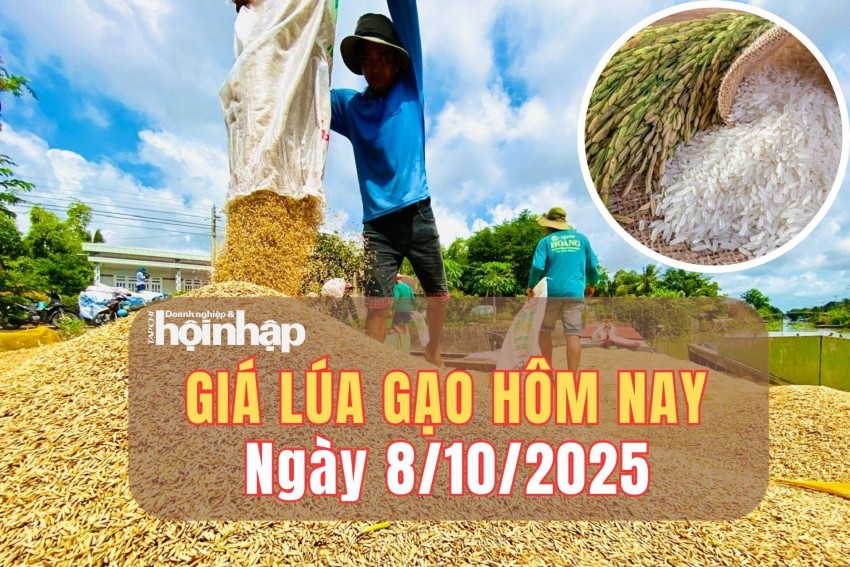 giá lúa gạo