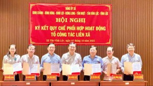 7 xã khu vực Bình Chánh (cũ) ký kết Quy chế phối hợp hoạt động: Tăng cường liên kết vùng, hướng tới phát triển bền vững