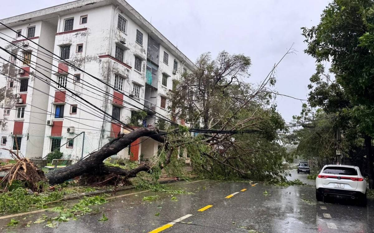 Hơn 357 tỷ đồng bảo hiểm bồi thường thiệt hại do bão số 10 Bualoi