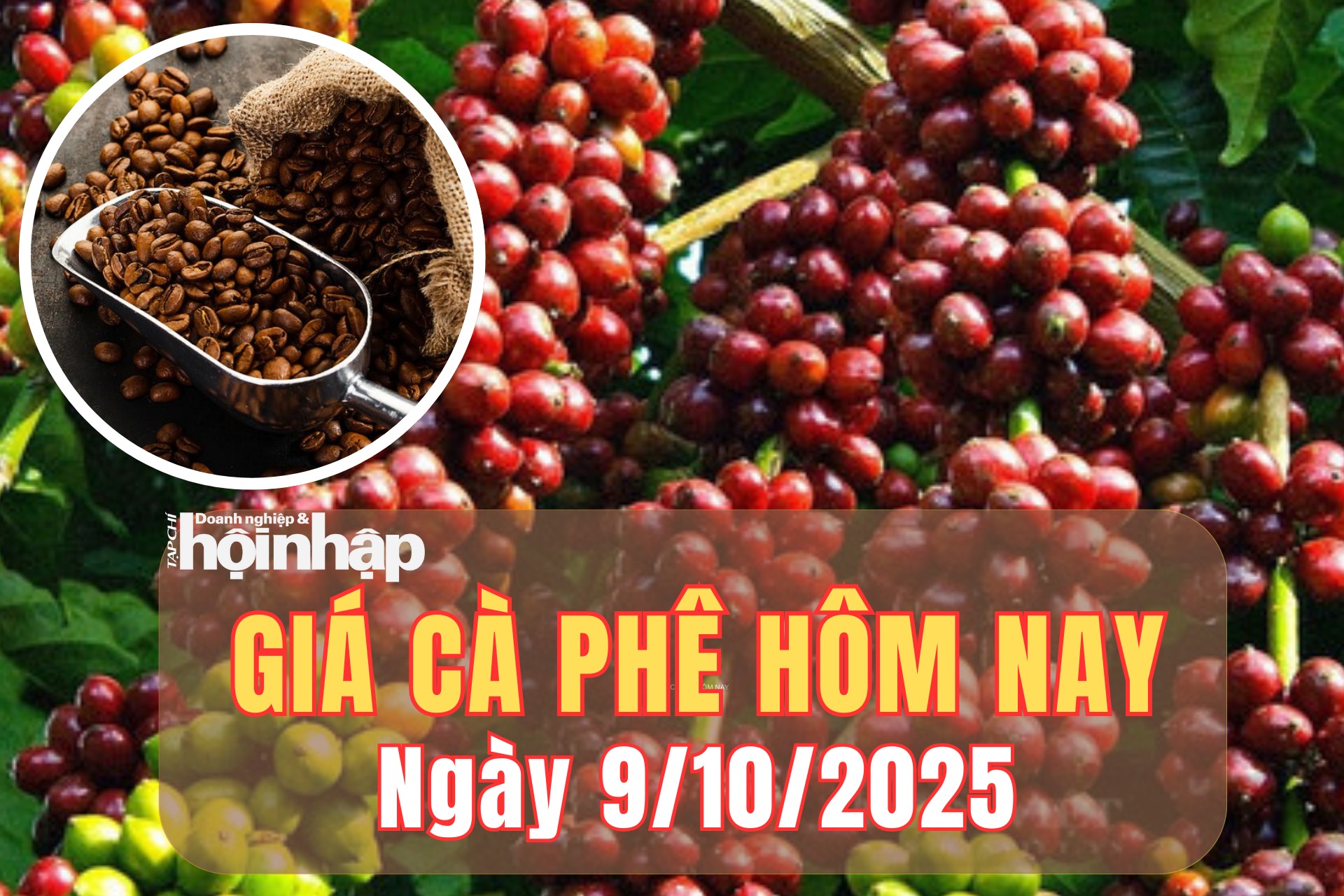 Giá cà phê hôm nay 9/10/2025: Giá cà phê thế giới đảo chiều tăng mạnh, trong nước tiếp tục giảm