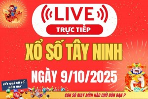 Trực tiếp: Xổ số Tây Ninh hôm nay ngày 9/10/2025 - XSTN 9/10