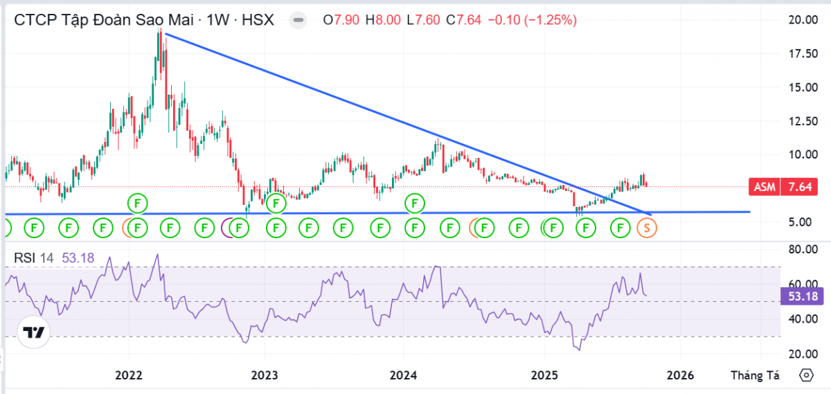 Sao Mai sắp phát hành hơn 37 triệu cổ phiếu trả cổ tức, vốn điều lệ vượt ngưỡng 4.000 tỷ đồng