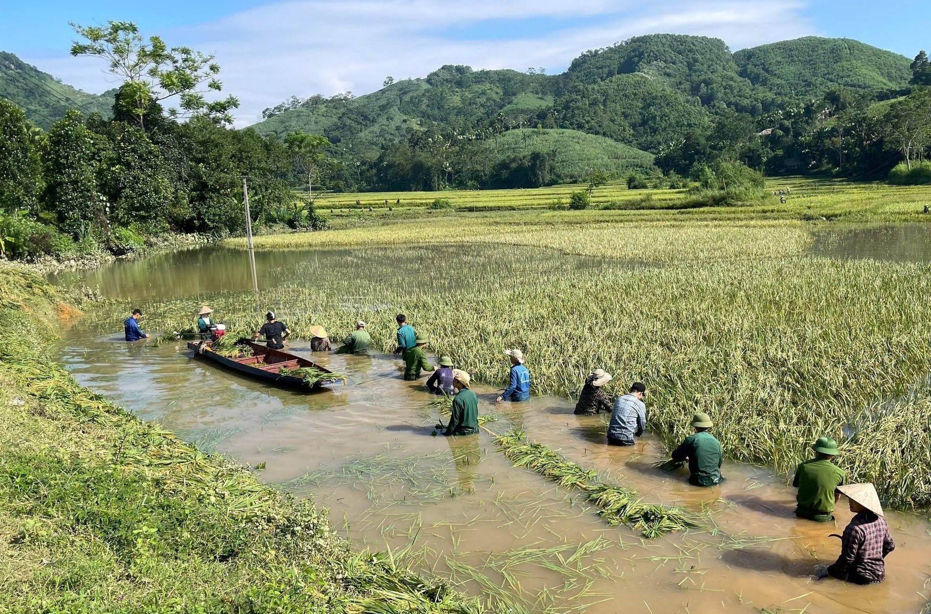 Tuyên Quang huy động tối đa nguồn lực khắc phục hậu quả mưa bão
