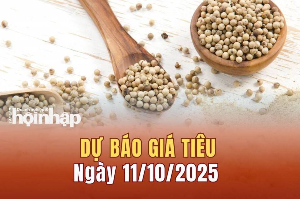 Dự báo giá tiêu 11/10: Tiêu trong nước neo ở mức "đỉnh"