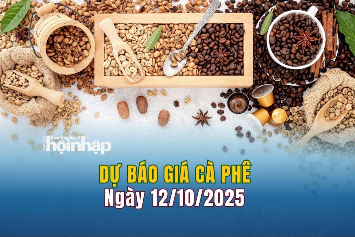 Dự báo giá cà phê 12/10: Cà phê trong nước tiếp đà giảm mạnh