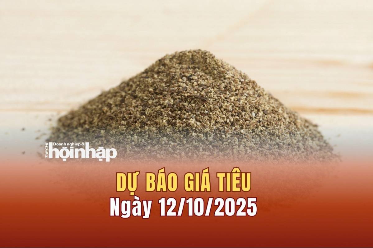 Dự báo giá tiêu 12/10: Tiêu trong nước có xu hướng tăng mạnh