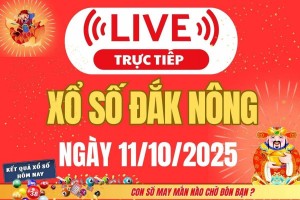TRỰC TIẾP: Xổ số Đắk Nông hôm nay ngày 11/10/2025 - XSDNO 11/10