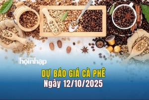 Dự báo giá cà phê 12/10: Cà phê trong nước tiếp đà giảm mạnh