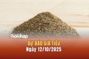 Dự báo giá tiêu 12/10: Tiêu trong nước có xu hướng tăng mạnh