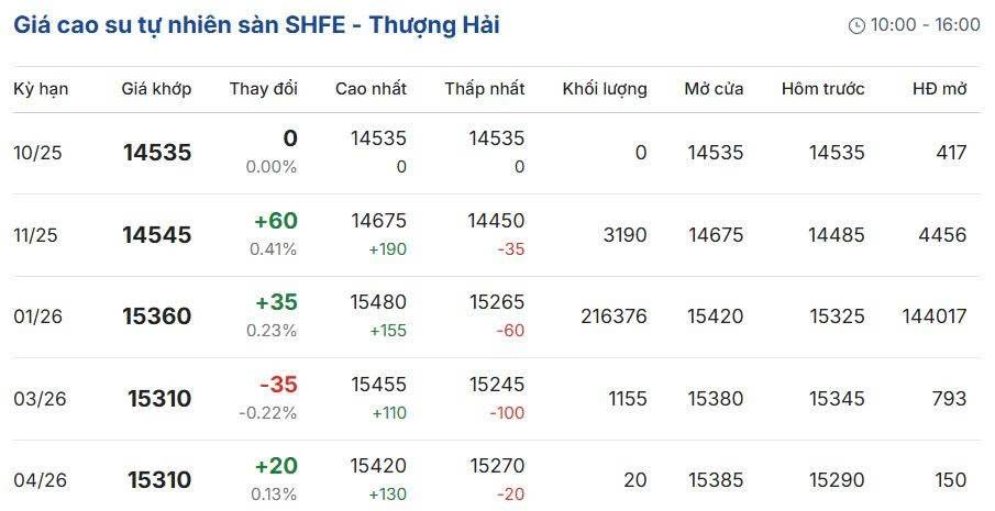 Giá cao su hôm nay 11/10/2025: Giá cao su thế giới biến động, trong nước ổn định