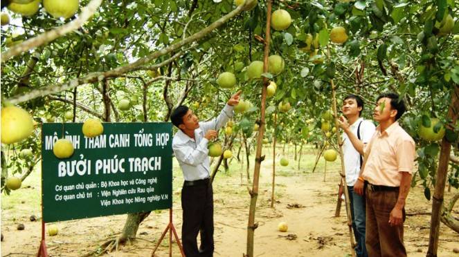 Hà Tĩnh đặt mục tiêu kinh tế số vượt 20% GRDP vào năm 2030