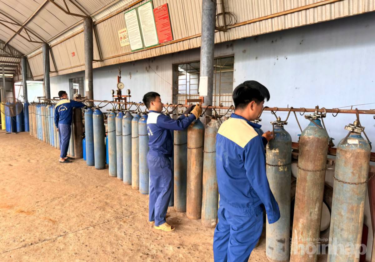 Doanh nghiệp Minh Ánh: Điểm sáng trong phong trào doanh nghiệp hội nhập và phát triển