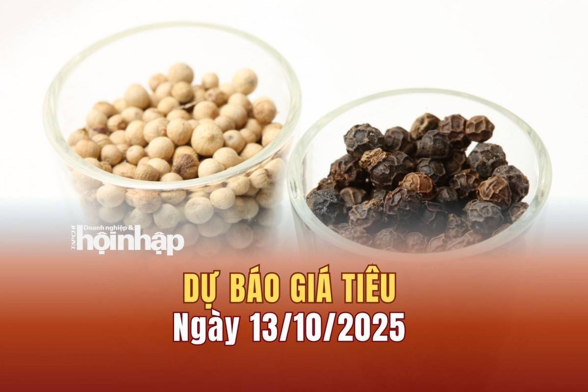 Dự báo giá tiêu 13/10: Tiêu trong nước và thế giới có xu hướng tăng mạnh