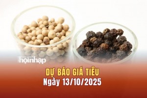 Dự báo giá tiêu 13/10: Tiêu trong nước và thế giới có xu hướng tăng mạnh