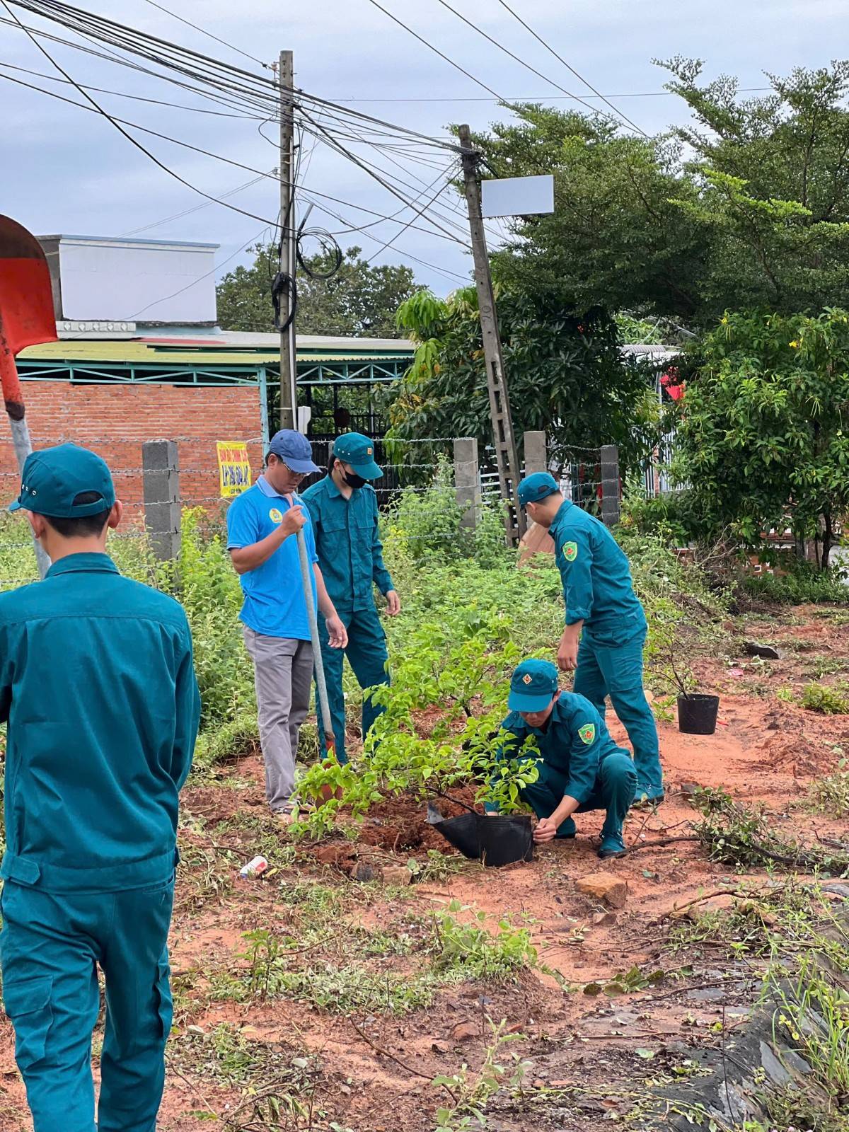 Phường Mũi Né ra quân vệ sinh môi trường, trồng cây xanh chào mừng Đại hội Đảng bộ Lâm Đồng