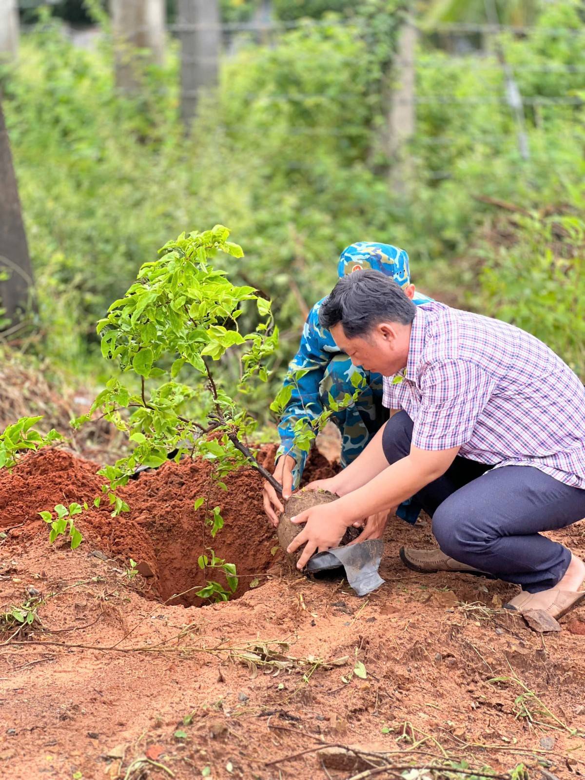 Phường Mũi Né ra quân vệ sinh môi trường, trồng cây xanh chào mừng Đại hội Đảng bộ Lâm Đồng