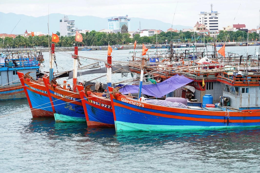 Quảng Trị siết chặt quản lý, quyết liệt ngăn chặn khai thác IUU