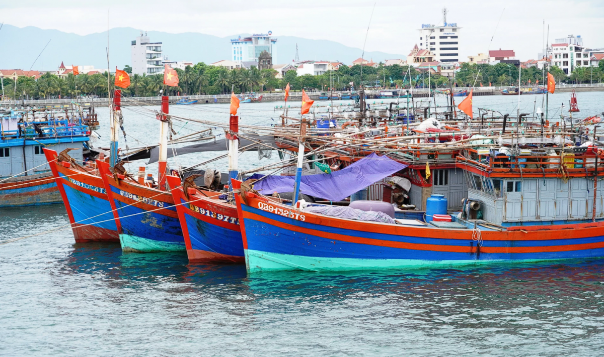 Quảng Trị siết chặt quản lý, quyết liệt ngăn chặn khai thác IUU