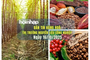Thị trường nguyên liệu công nghiệp 16/10: Giá cà phê tăng, trong khi ca cao và đường đồng loạt giảm