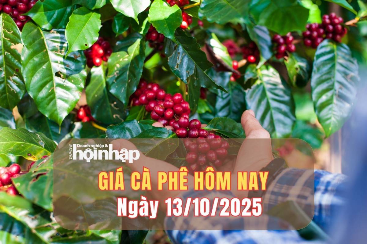 Giá cà phê hôm nay 13/10/2025: Giá cà phê trong nước cao nhất là 114.000 đồng/kg, thế giới quay đầu giảm