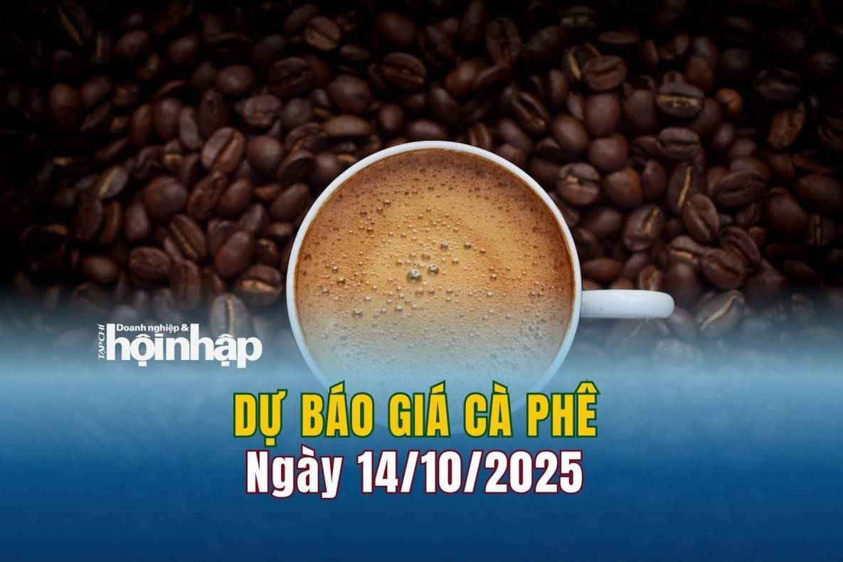 Dự báo giá cà phê 14/10: Cà phê trong nước có xu hướng tăng vọt