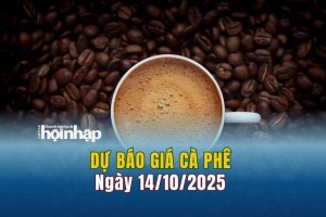 Dự báo giá cà phê 14/10: Cà phê trong nước có xu hướng tăng vọt