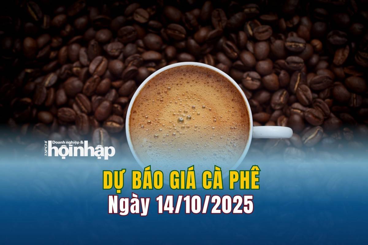 Dự báo giá cà phê 14/10/2025