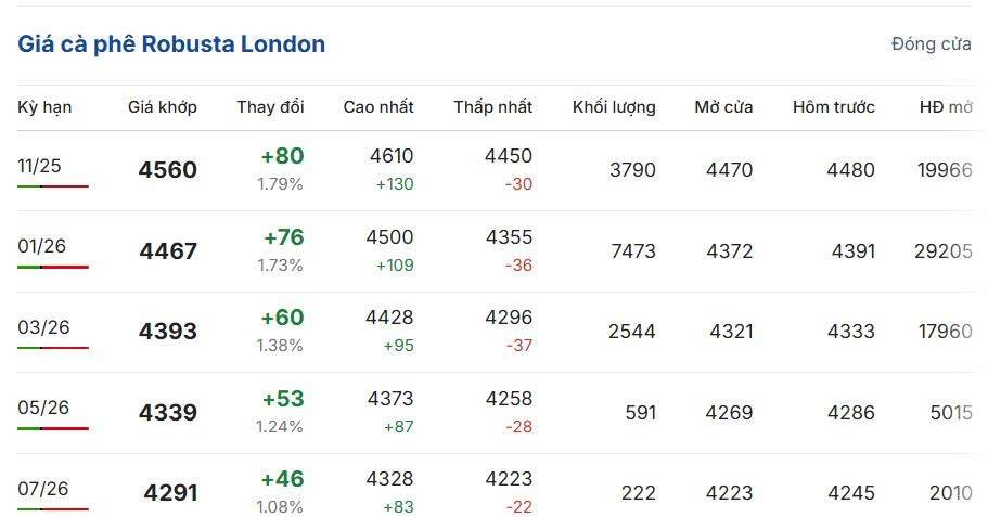 Cập nhật: 14/10/2025 lúc 06:35:01