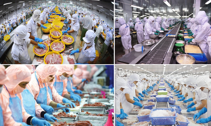 Doanh nghiệp thủy sản đột phá số hóa: Mục tiêu gỡ “thẻ vàng” IUU trước 2025