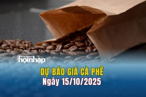 Dự báo giá cà phê 15/10: Cà phê trong nước tăng mạnh