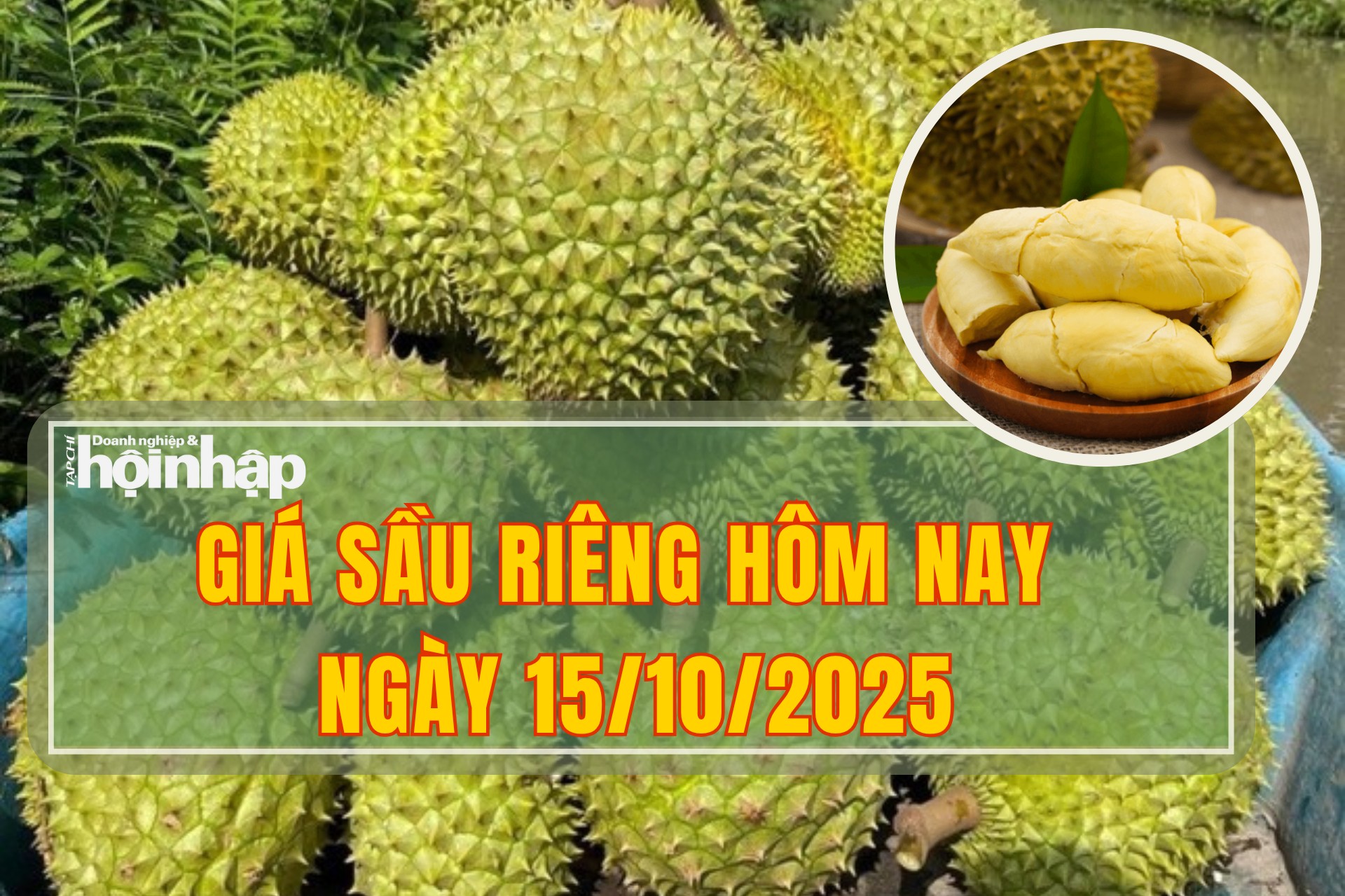 Giá sầu riêng hôm nay 15/10: Thị trường nội địa duy trì ổn định