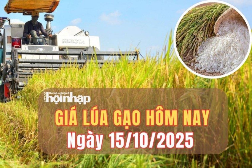 Giá lúa gạo hôm nay 14/10/2025: Giá lúa gạo Đồng bằng sông Cửu Long đi ngang, phụ phẩm tăng nhẹ