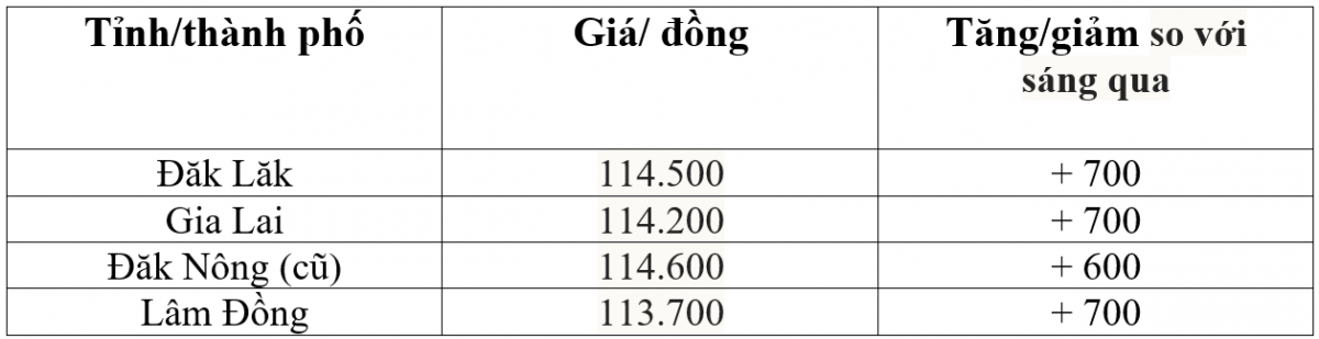 Giá cà phê hôm nay 14/10/2025: Giá cà phê thế giới đồng loạt đảo chiều tăng mạnh