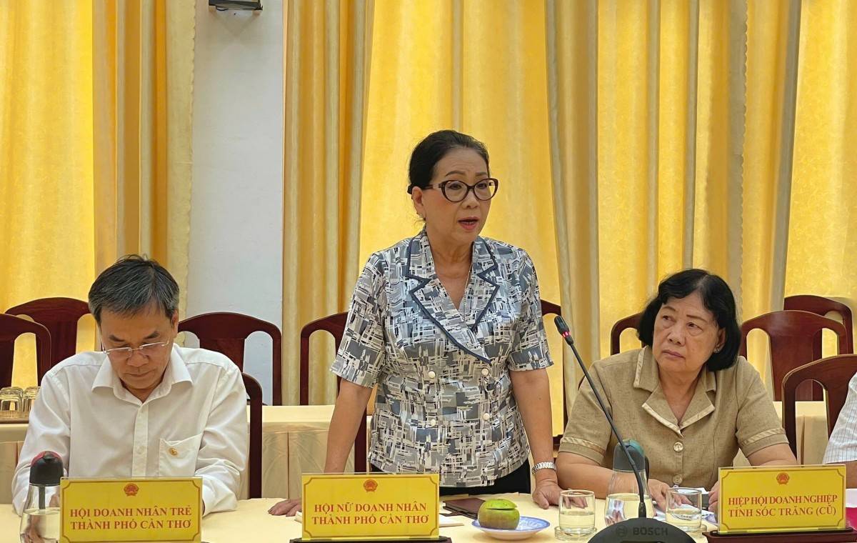 Cần Thơ: Sẽ hợp nhất các Hiệp hội cùng ngành nghề để phát huy hiệu quả