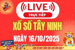 TRỰC TIẾP: Xổ số Tây Ninh hôm nay ngày 16/10/2025 - XSTN 16/10