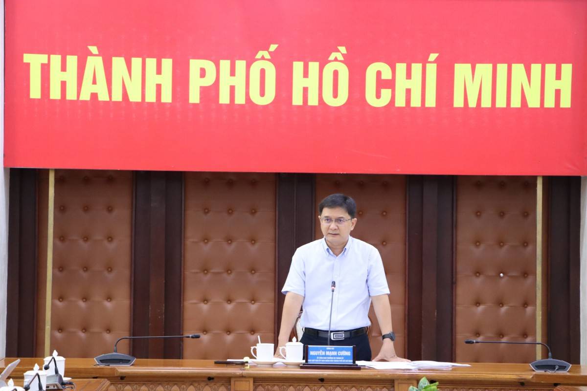 Phó Chủ tịch UBND Thành phố Nguyễn Mạnh Cường phát biểu kết luận cuộc họp